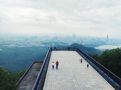-紫金山山顶公园