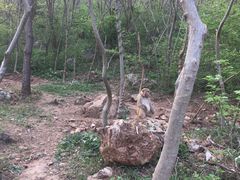 -南京金牛湖风景区