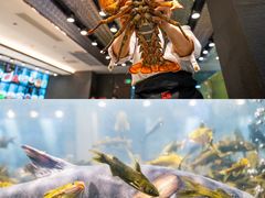 -龙宴海鲜城(经中路店)