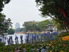 -荔湾湖公园
