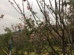 -浈阳坊旅游小镇