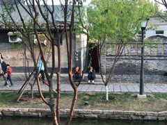 -春风习习