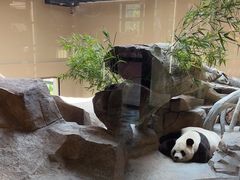 -宁波野生动物园