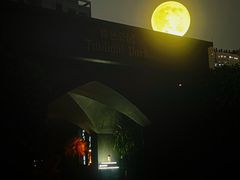 -暮色公园Twilight Park·威士忌Bar