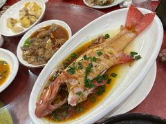 -红灯笼龙凤饭店(宁波老字号店)