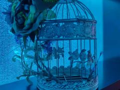 -欢唱KTV(东街店)