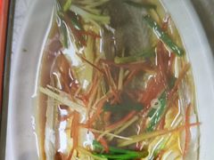 -柘林湖生态鱼馆