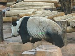 -秦皇岛野生动物园