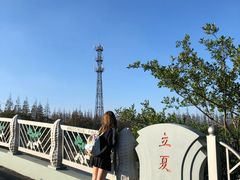 -上海长兴岛郊野公园