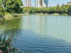-沙市市中山公园