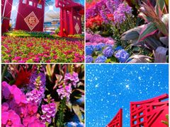 -海心沙亚运公园