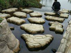 -丹樱生态园