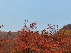 -周口店坡峰岭风景区