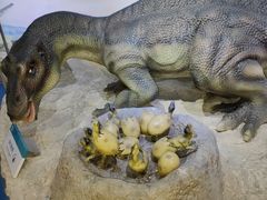 -国家自然博物馆