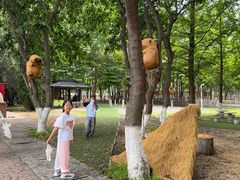 -北戴河集发农业梦想王国