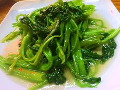 -广达眼镜炖罐(广达店)
