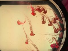 -沈阳海洋探索中心