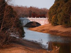 -上海海湾国家森林公园