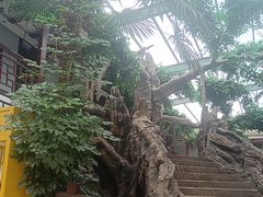 -老山东·山东菜(鲁菜名店)