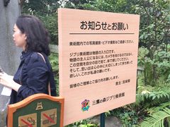 -三鹰之森吉卜力美术馆