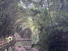 -凤栖山