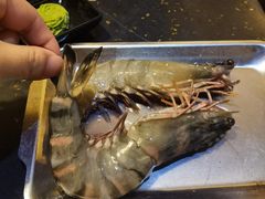 -熊出没日本烧肉放题