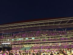 奥林匹克体育中心体育馆-南京奥林匹克体育中心-体育馆