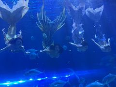 -华夏文旅西安度假区