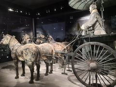 -秦始皇帝陵博物院(兵马俑)