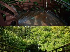 -世界恐龙谷景区