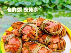-七的湖·晚芳亭·阳澄湖农家菜·大闸蟹(莲花岛店)