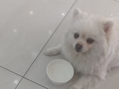 -美联众合动物医院·24h京西诊疗中心