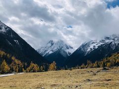 -四姑娘山阿巴郎·藏式花园餐厅