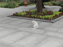 -西安大兴善寺