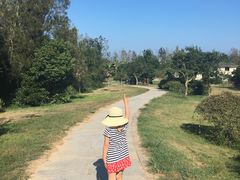 -普陀山风景名胜区-千步大沙