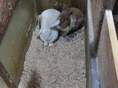 -上海大自然野生昆虫馆(东方明珠·爬宠昆虫探索中心)