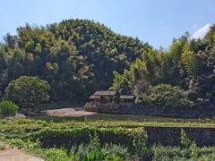 -东白山