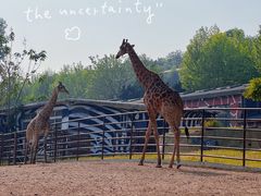 -大连森林动物园
