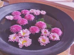 -素可SPA