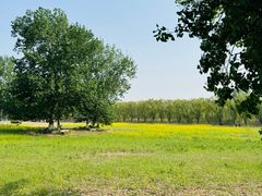 -天津武清北运河郊野公园房车露营地