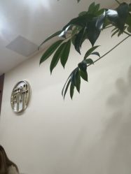 -HEYAN荷妍专业脱毛连锁机构