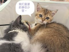 -万达广场(大明宫店)