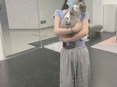 -1013 PET SHOP 宠物商店(近铁城市广场店)