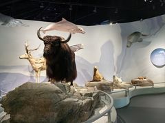 -中国湿地博物馆