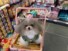 -萌兽医馆·眼科·异宠专科(三里屯店)