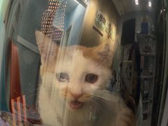 -纳吉亚猫专科动物医院博雅分院