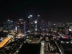 -新加坡瑞士史丹福酒店