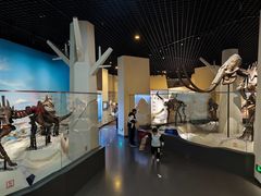 -国家自然博物馆