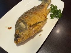 -老牌坊鲁菜名店(聊城美食岛店)