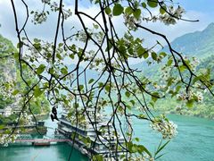 -三峡人家风景区